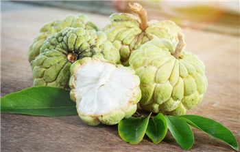 CUSTARD APPLE SEED OIL - Rakesh Sandal Industries