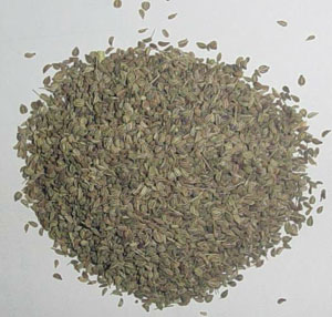 AJWAIN SEED OIL - Spice Oils