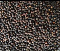 BLACK PEPPER OLEORESIN - Oleoresin