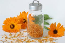 CALENDULA OIL - Essential Oils