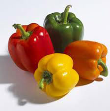 CAPSICUM OLEORESIN - Oleoresin