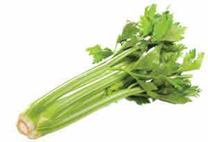 CELERY SEED OIL - Rakesh Sandal Industries