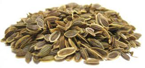 DILL SEED OIL - Rakesh Sandal Industries