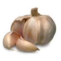 GARLIC OLEORESIN - Rakesh Sandal Industries