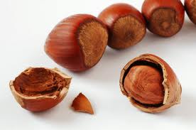 HAZEL NUT OIL - Carrier & Vegetable Oil