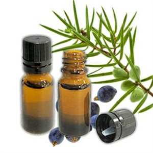 JUNIPER BERRY OIL - Essential Oils